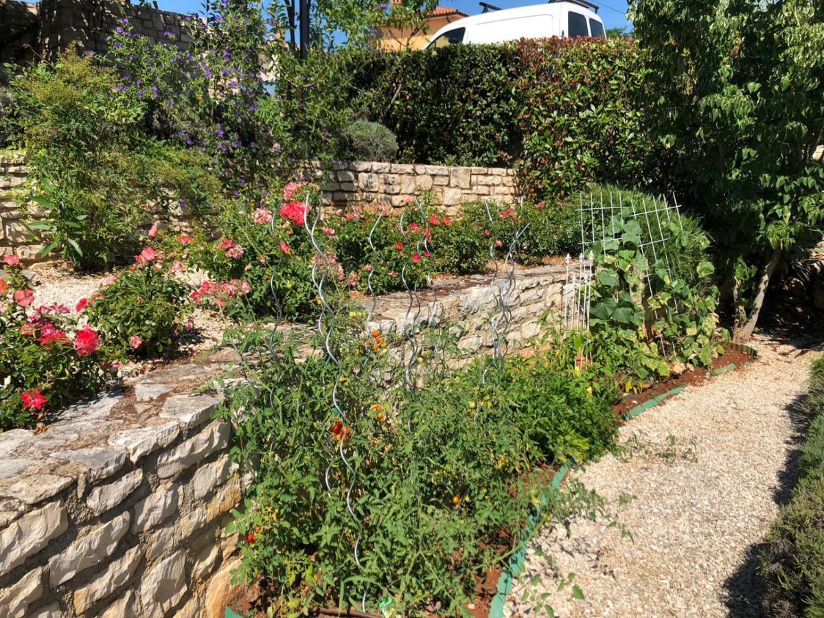 Casa Stefanie Βίλα Kaštelir Εξωτερικό φωτογραφία